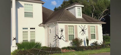 Giant Halloween Spider – Set of 6